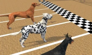 Khám Phá Cách Chơi Game Nhanh Đua Chó Tại Luck8 Hấp Dẫn