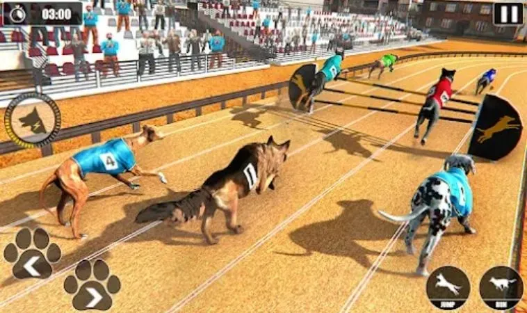 Khám Phá Cách Chơi Game Nhanh Đua Chó Tại Luck8 Hấp Dẫn 2 Khám Phá Cách Chơi Game Nhanh Đua Chó Tại Luck8 Hấp Dẫn