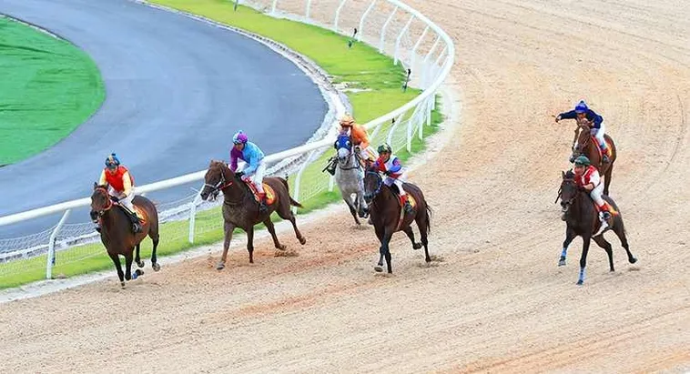 Khám Phá Thế Giới Cá Cược Đua Ngựa Luck8: Hành Trình Thú Vị 2 Khám Phá Thế Giới Cá Cược Đua Ngựa Luck8: Hành Trình Thú Vị